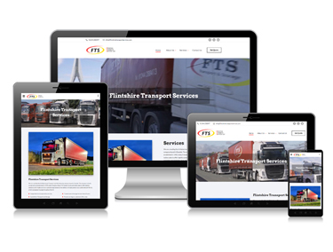 Brochure Style Website