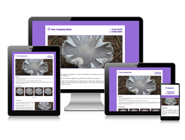 Simple Web Design Services